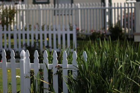Fence Image 3